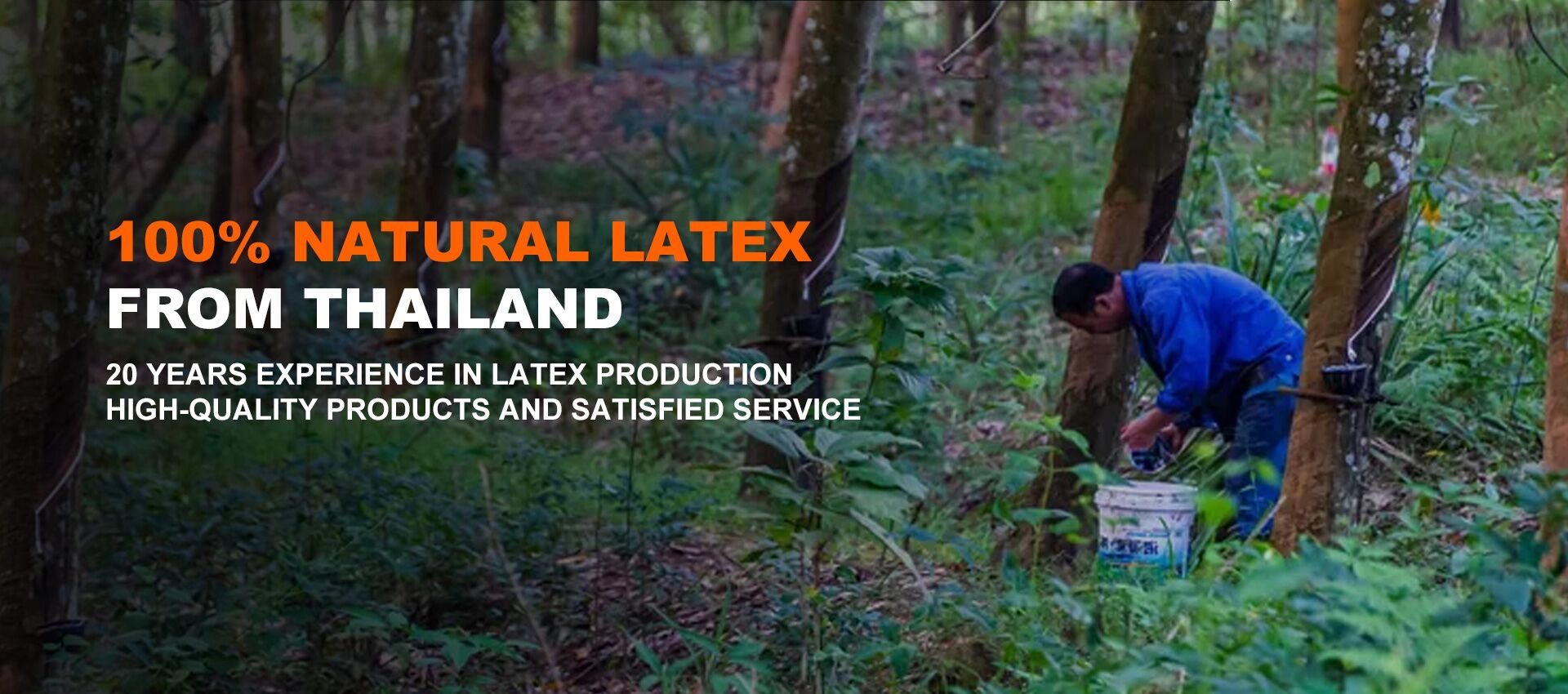 Natuurlike latex -matrasverskaffer